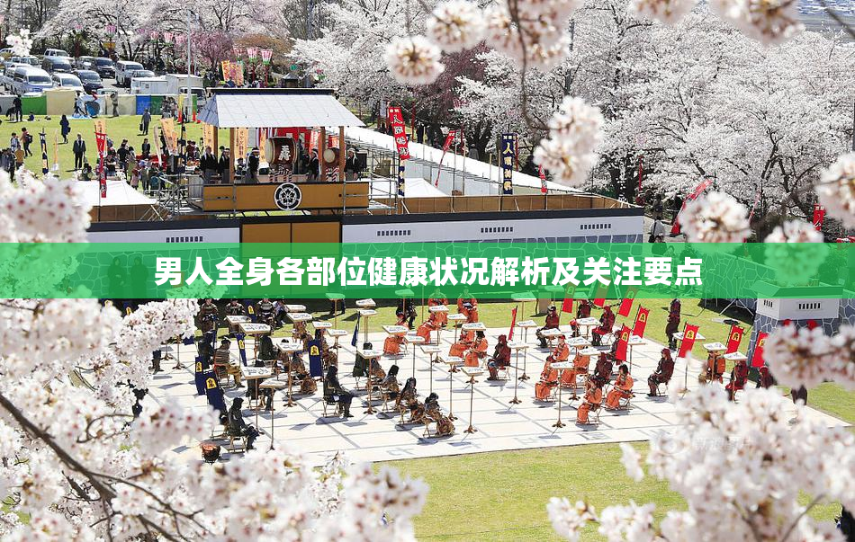 男人全身各部位健康状况解析及关注要点