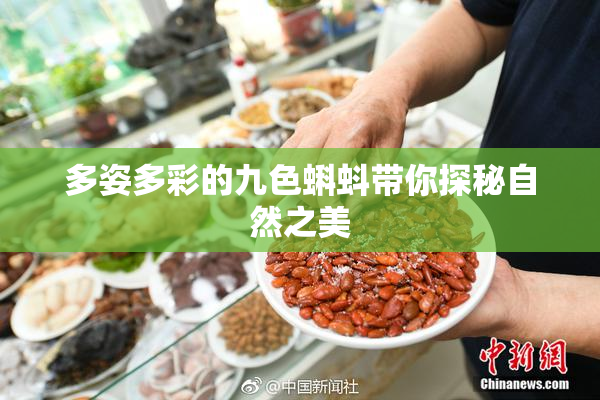多姿多彩的九色蝌蚪带你探秘自然之美