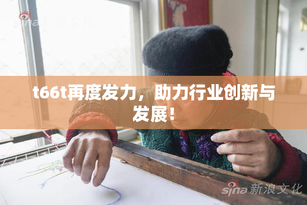 t66t再度发力，助力行业创新与发展！