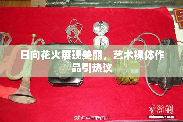 日向花火展现美丽，艺术裸体作品引热议