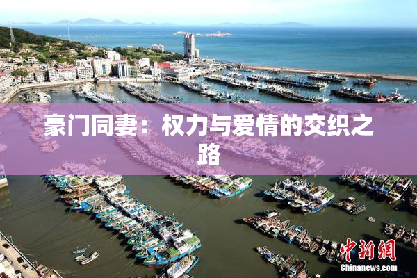 豪门同妻：权力与爱情的交织之路