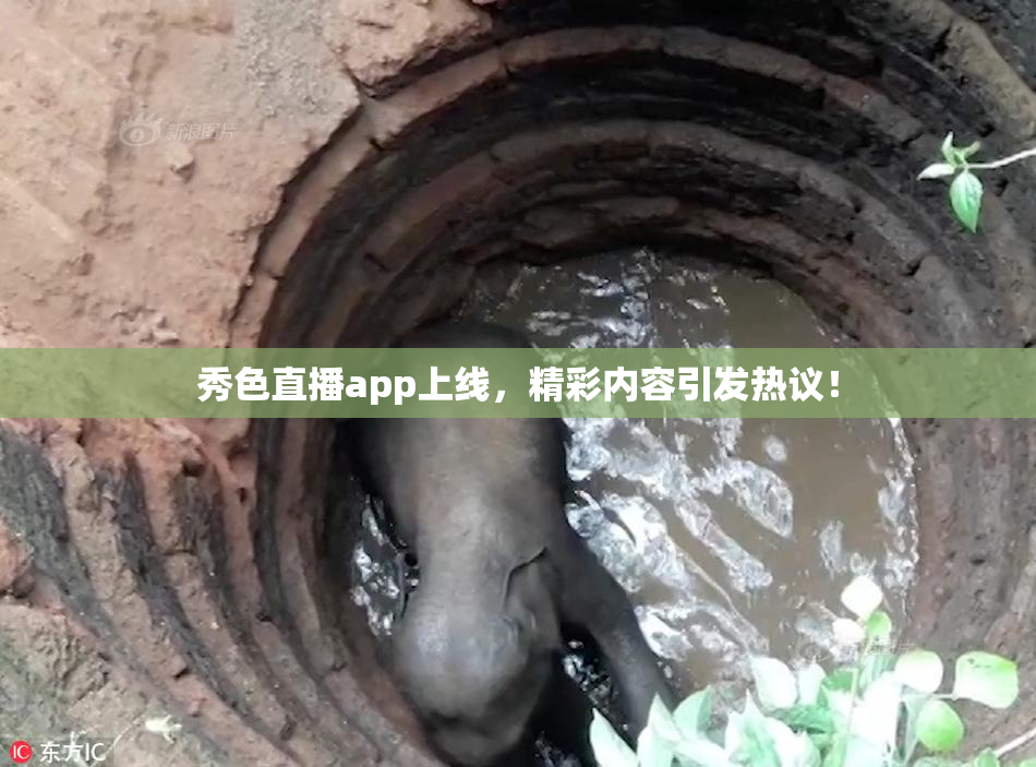 秀色直播app上线，精彩内容引发热议！