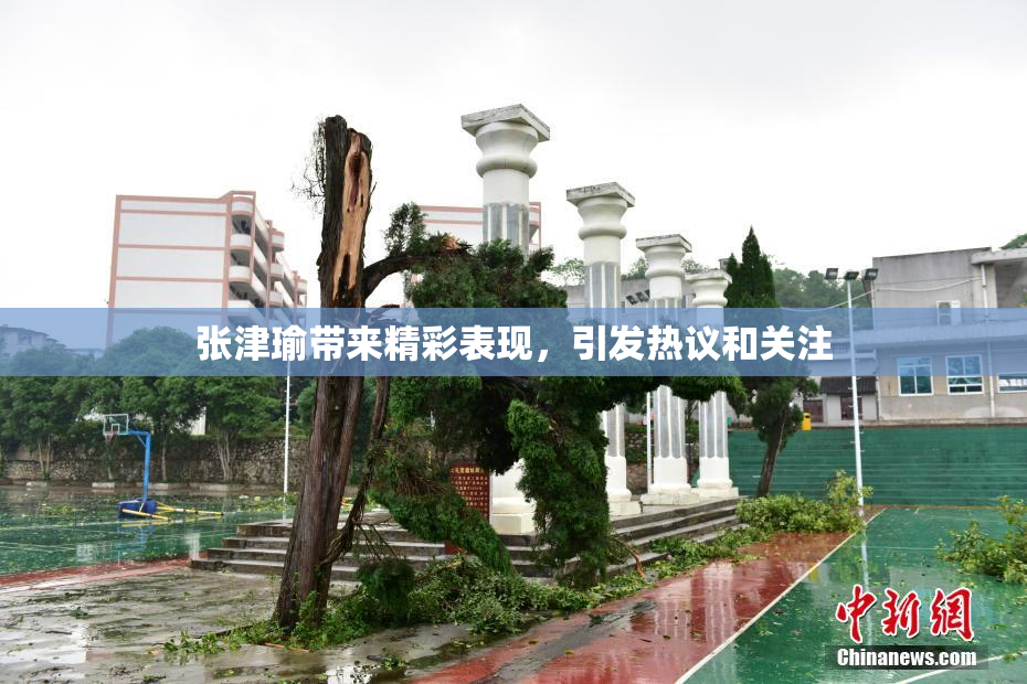 张津瑜带来精彩表现，引发热议和关注