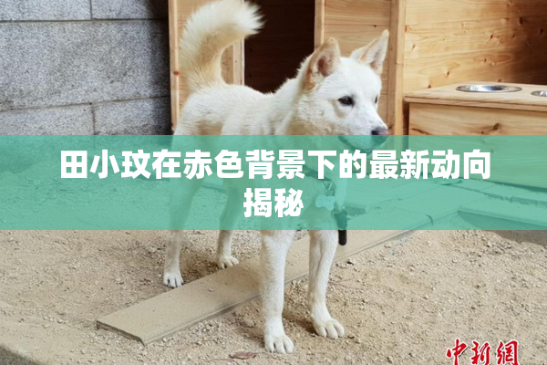 田小玟在赤色背景下的最新动向揭秘