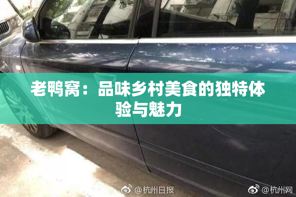 老鸭窝：品味乡村美食的独特体验与魅力