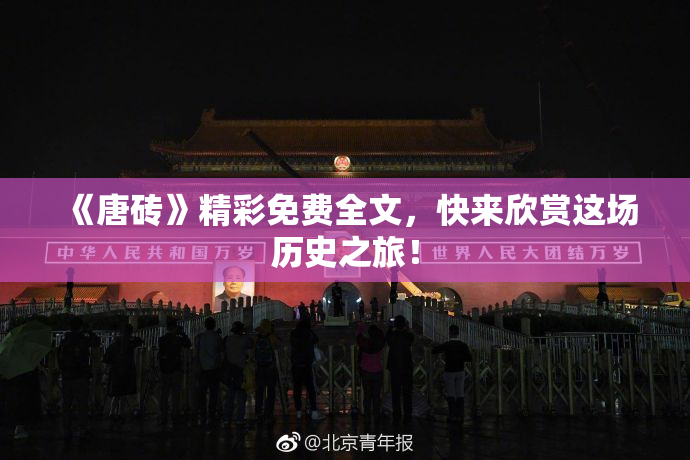 《唐砖》精彩免费全文，快来欣赏这场历史之旅！
