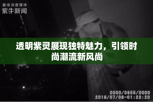 透明紫灵展现独特魅力，引领时尚潮流新风尚