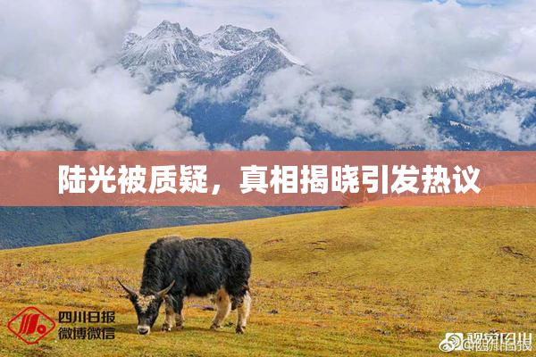 陆光被质疑，真相揭晓引发热议