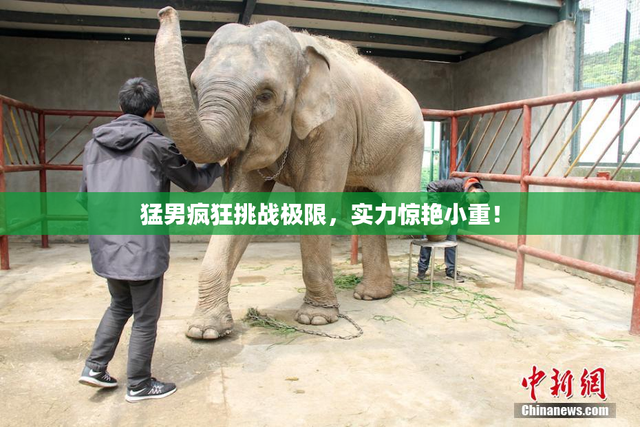 猛男疯狂挑战极限，实力惊艳小重！