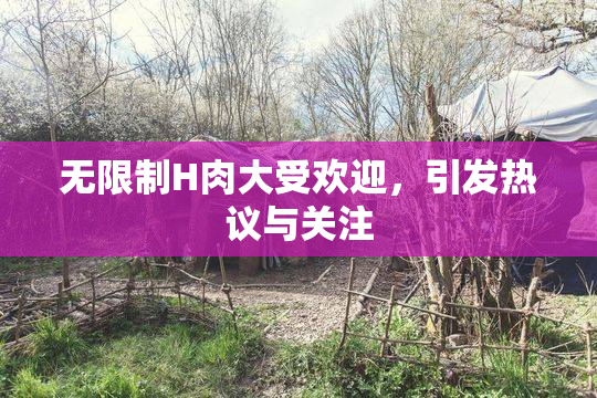 无限制H肉大受欢迎，引发热议与关注