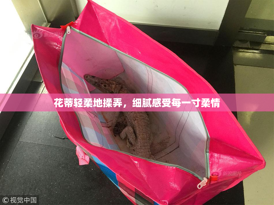 花蒂轻柔地揉弄，细腻感受每一寸柔情