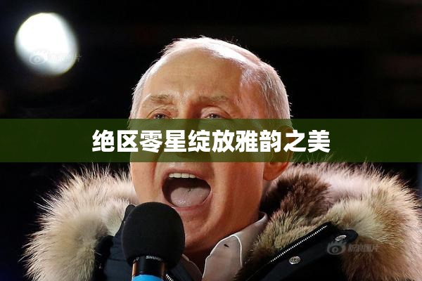 绝区零星绽放雅韵之美
