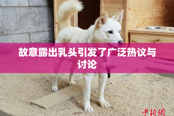故意露出乳头引发了广泛热议与讨论