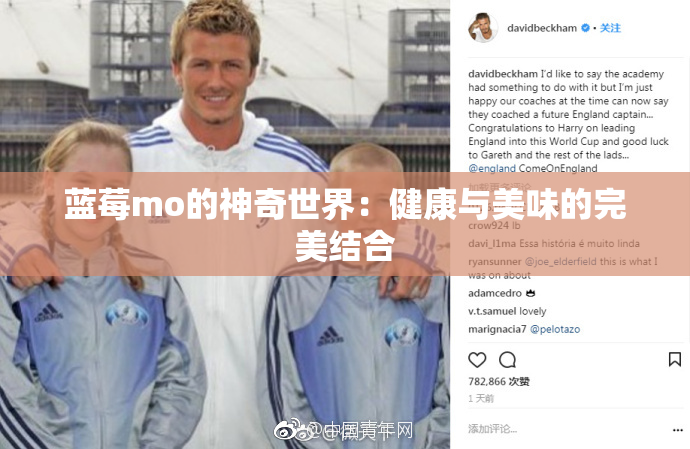 蓝莓mo的神奇世界：健康与美味的完美结合