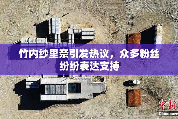 竹内纱里奈引发热议，众多粉丝纷纷表达支持