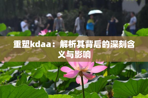 重塑kdaa：解析其背后的深刻含义与影响