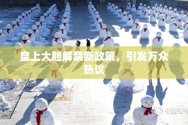 皇上大胆解禁新政策，引发万众热议