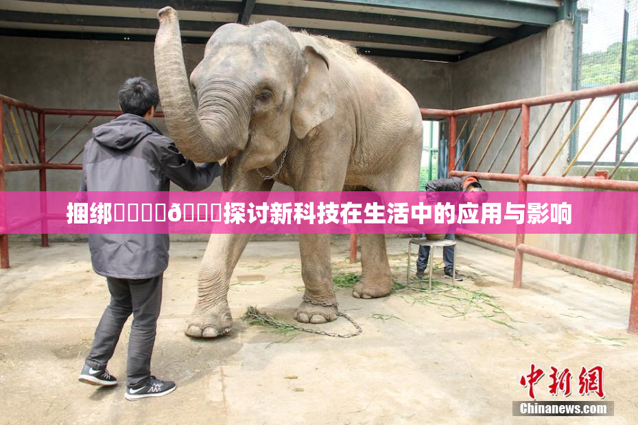 捆绑❌‌❌‌🔞探讨新科技在生活中的应用与影响