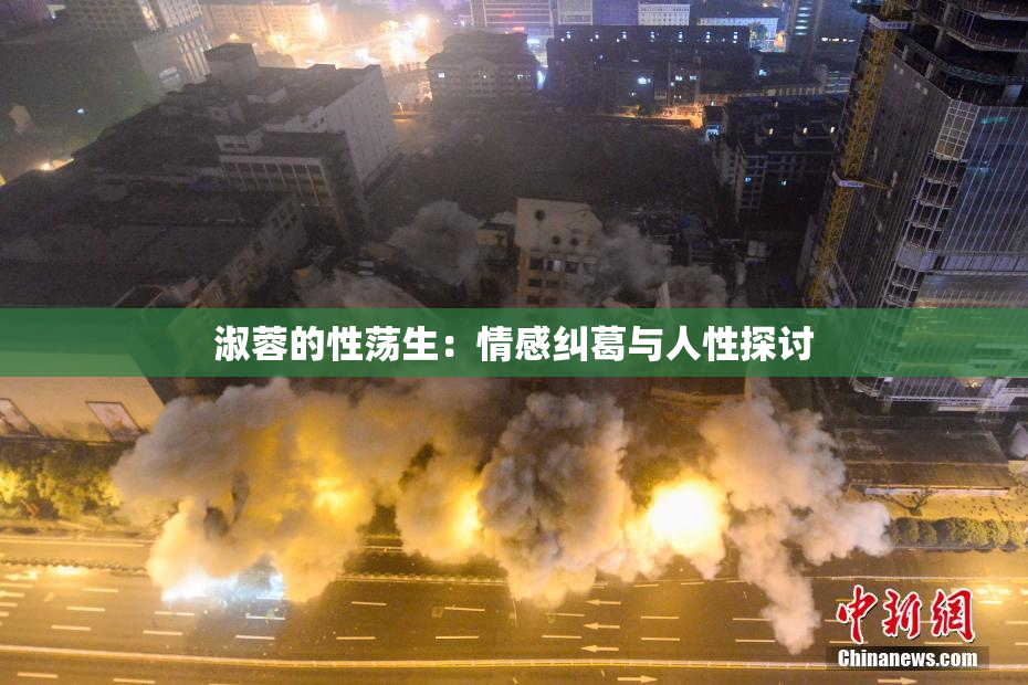 淑蓉的性荡生：情感纠葛与人性探讨