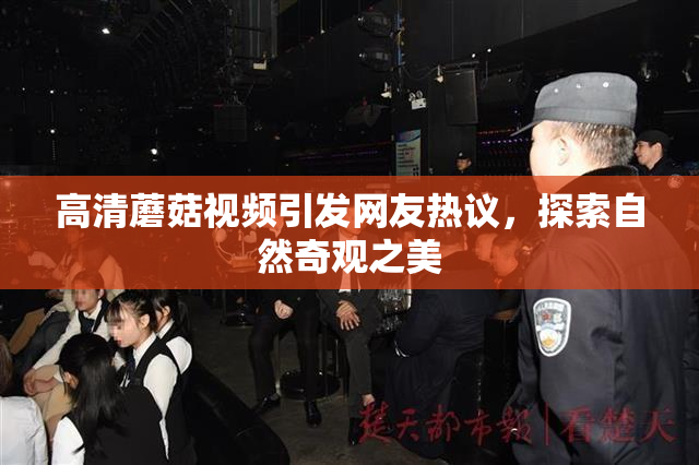 高清蘑菇视频引发网友热议，探索自然奇观之美