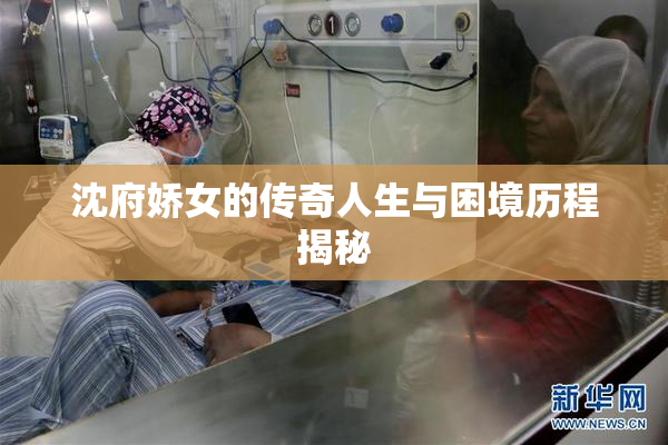 沈府娇女的传奇人生与困境历程揭秘