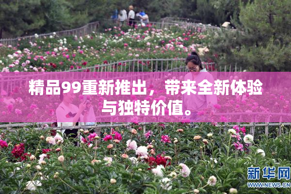 精品99重新推出，带来全新体验与独特价值。