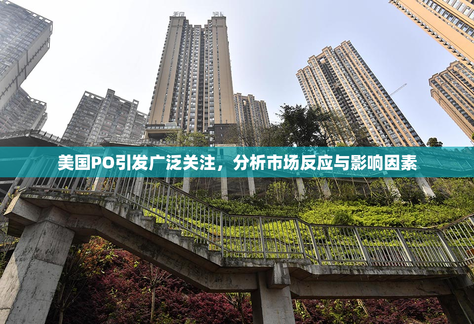 美国PO引发广泛关注，分析市场反应与影响因素