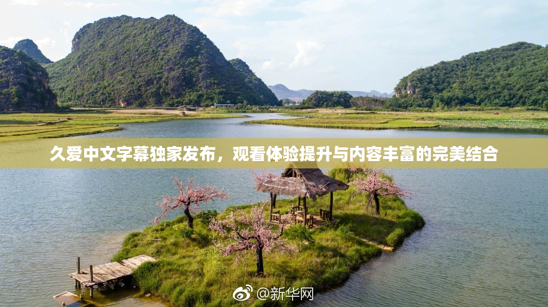 久爱中文字幕独家发布，观看体验提升与内容丰富的完美结合