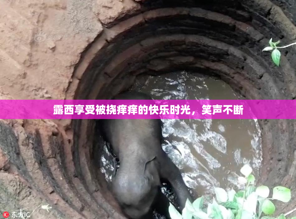 露西享受被挠痒痒的快乐时光，笑声不断