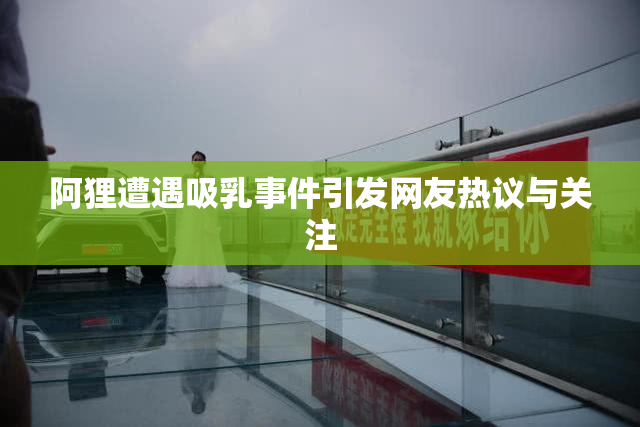 阿狸遭遇吸乳事件引发网友热议与关注