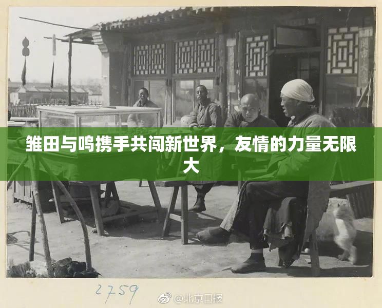雏田与鸣携手共闯新世界，友情的力量无限大
