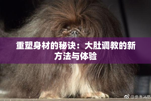 重塑身材的秘诀：大肚调教的新方法与体验