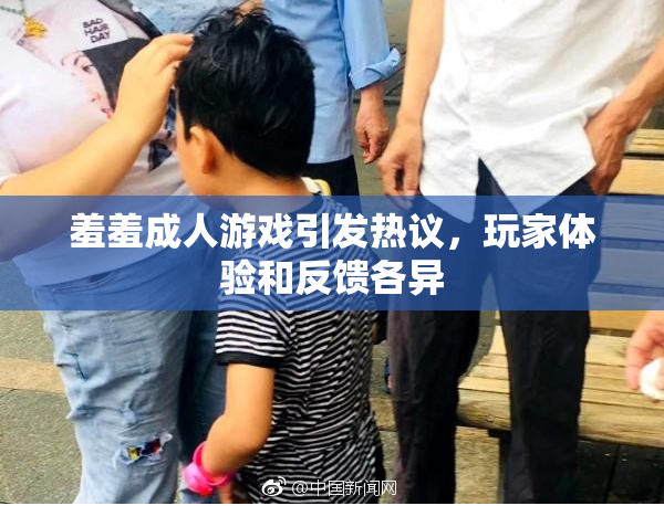 羞羞成人游戏引发热议，玩家体验和反馈各异