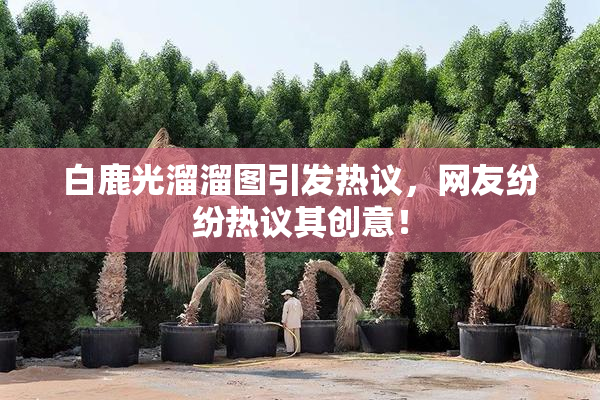 白鹿光溜溜图引发热议，网友纷纷热议其创意！
