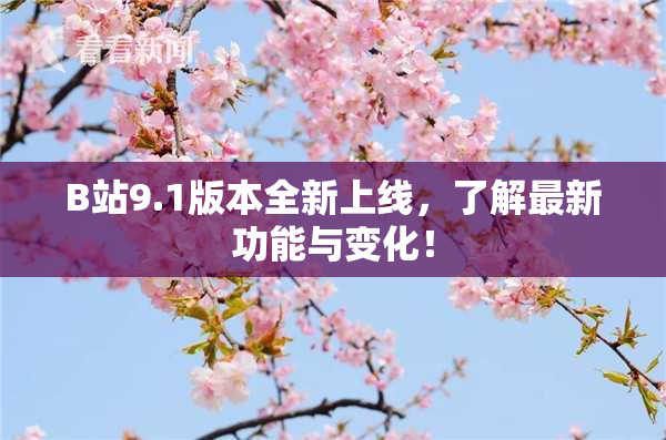 B站9.1版本全新上线，了解最新功能与变化！