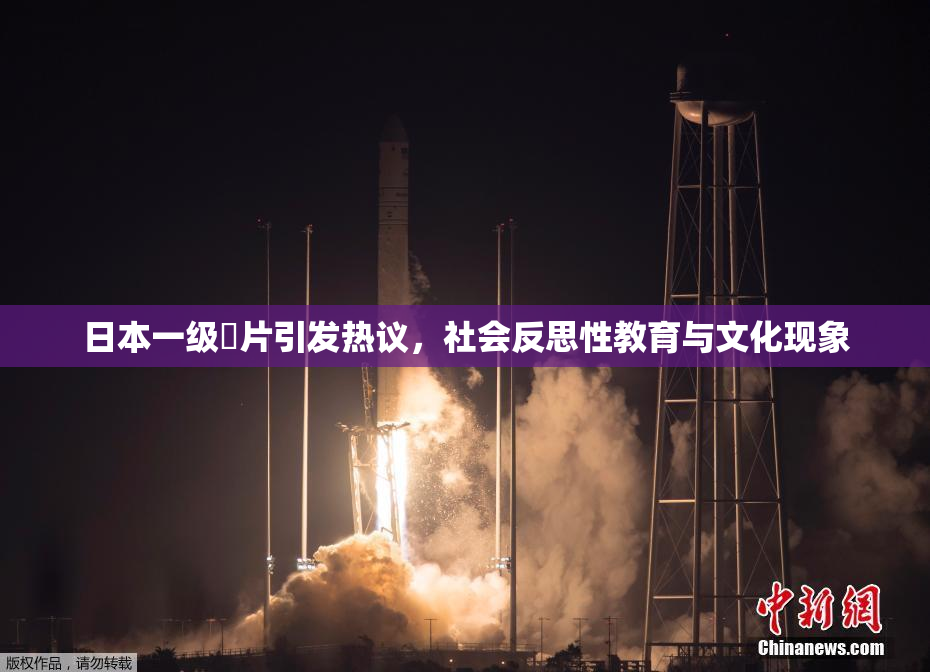 日本一级婬片引发热议，社会反思性教育与文化现象