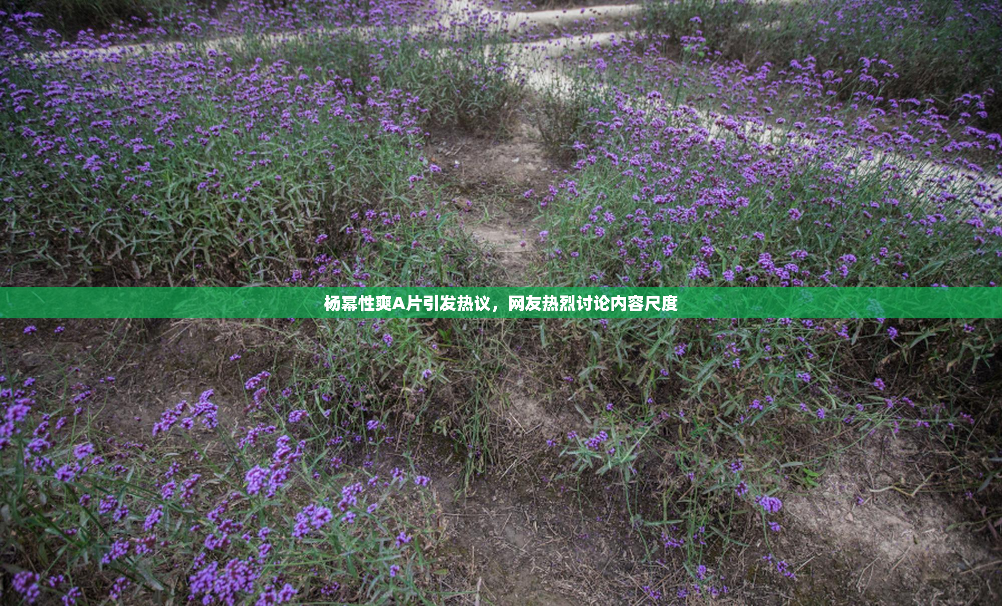 杨幂性爽A片引发热议，网友热烈讨论内容尺度