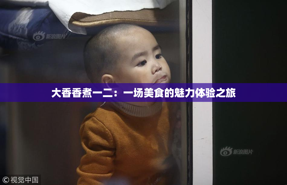 大香香煮一二：一场美食的魅力体验之旅