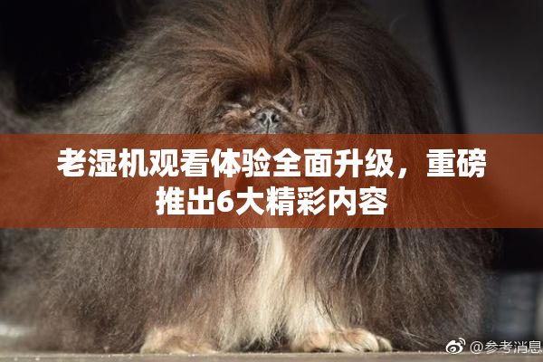 老湿机观看体验全面升级，重磅推出6大精彩内容