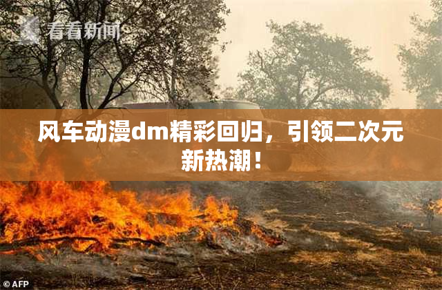 风车动漫dm精彩回归，引领二次元新热潮！