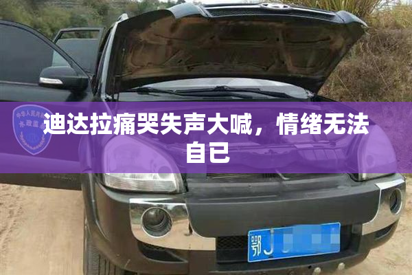 迪达拉痛哭失声大喊，情绪无法自已