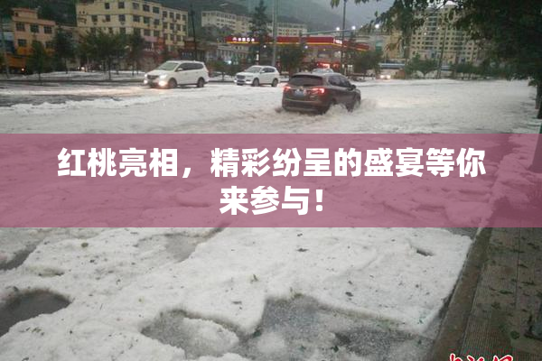 红桃亮相，精彩纷呈的盛宴等你来参与！