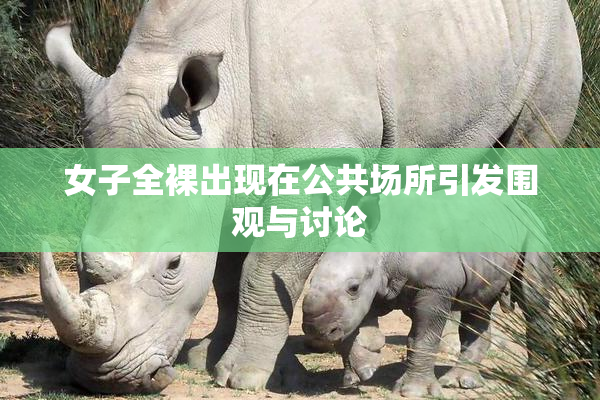 女子全裸出现在公共场所引发围观与讨论