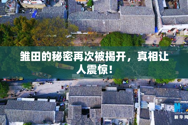 雏田的秘密再次被揭开，真相让人震惊！
