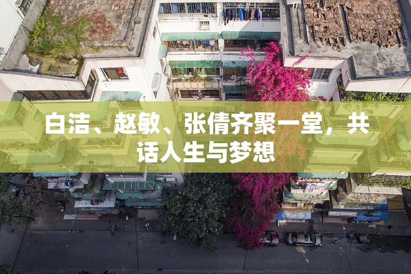 白洁、赵敏、张倩齐聚一堂，共话人生与梦想