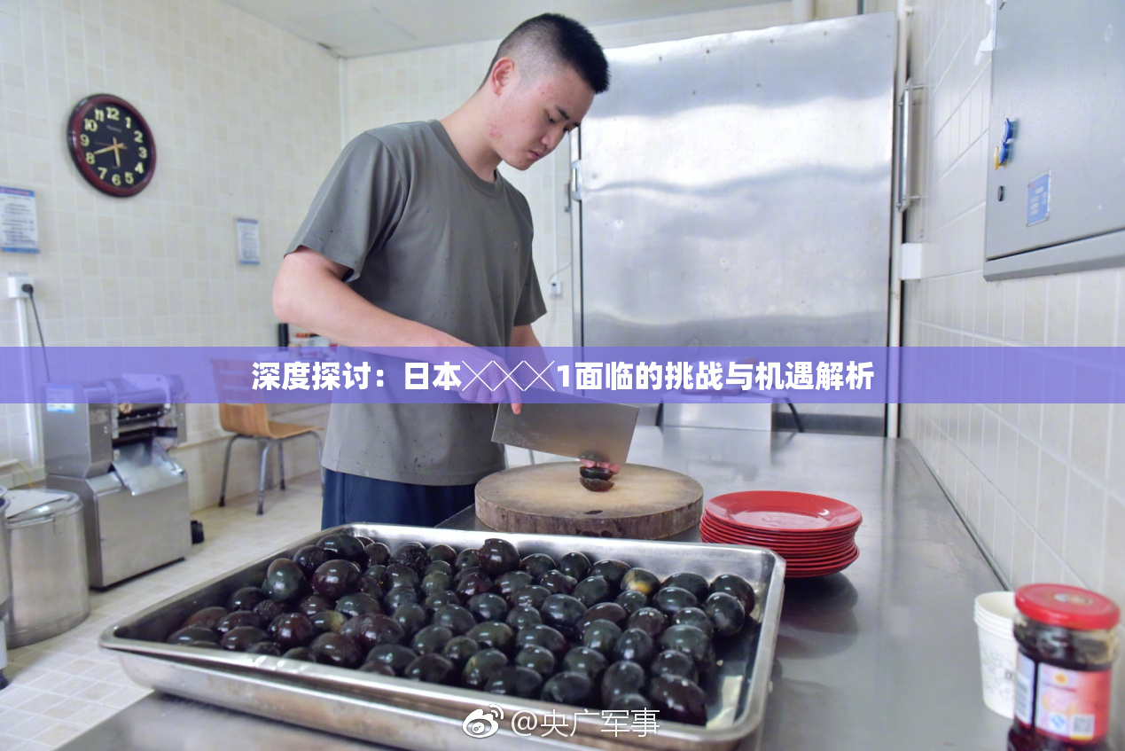 深度探讨：日本╳╳╳1面临的挑战与机遇解析