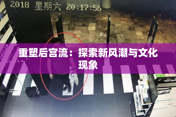 重塑后宫流：探索新风潮与文化现象