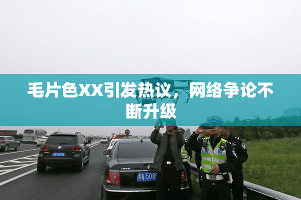 毛片色XX引发热议，网络争论不断升级