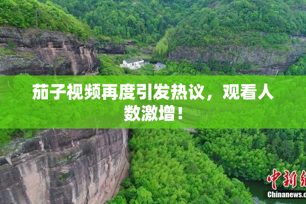 茄子视频再度引发热议，观看人数激增！