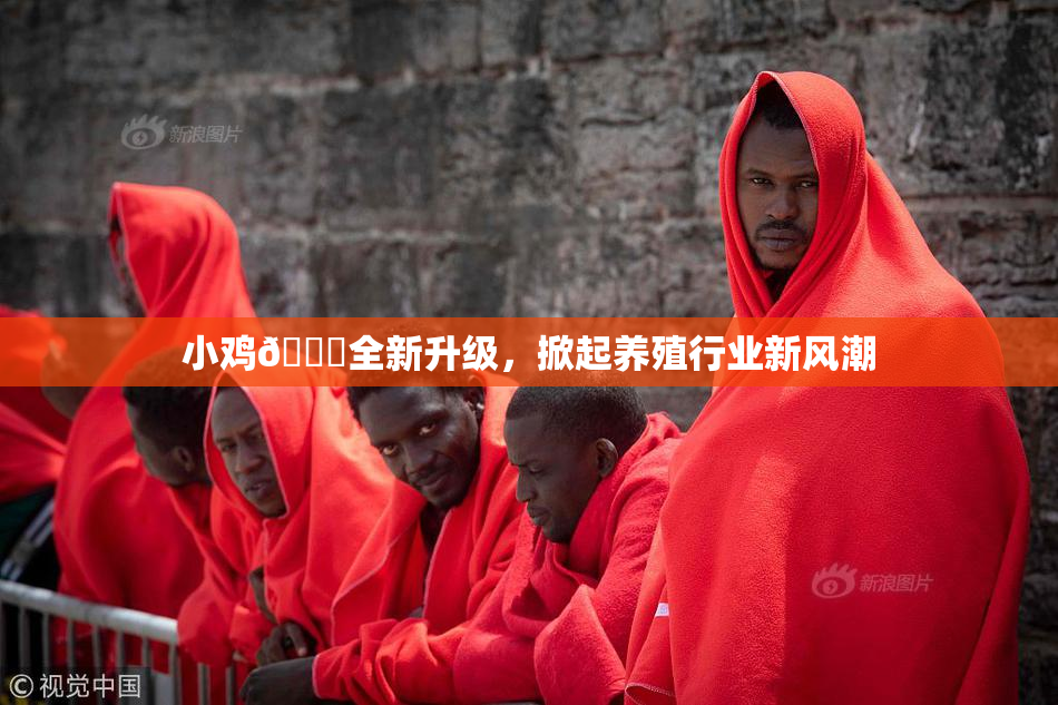 小鸡🐔全新升级，掀起养殖行业新风潮